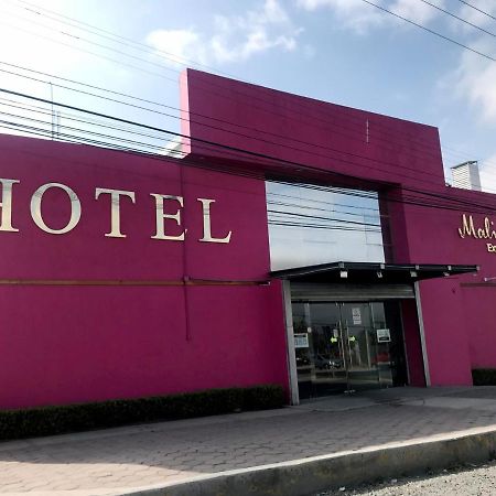 Malinalli Express Apizaco Exteriör bild